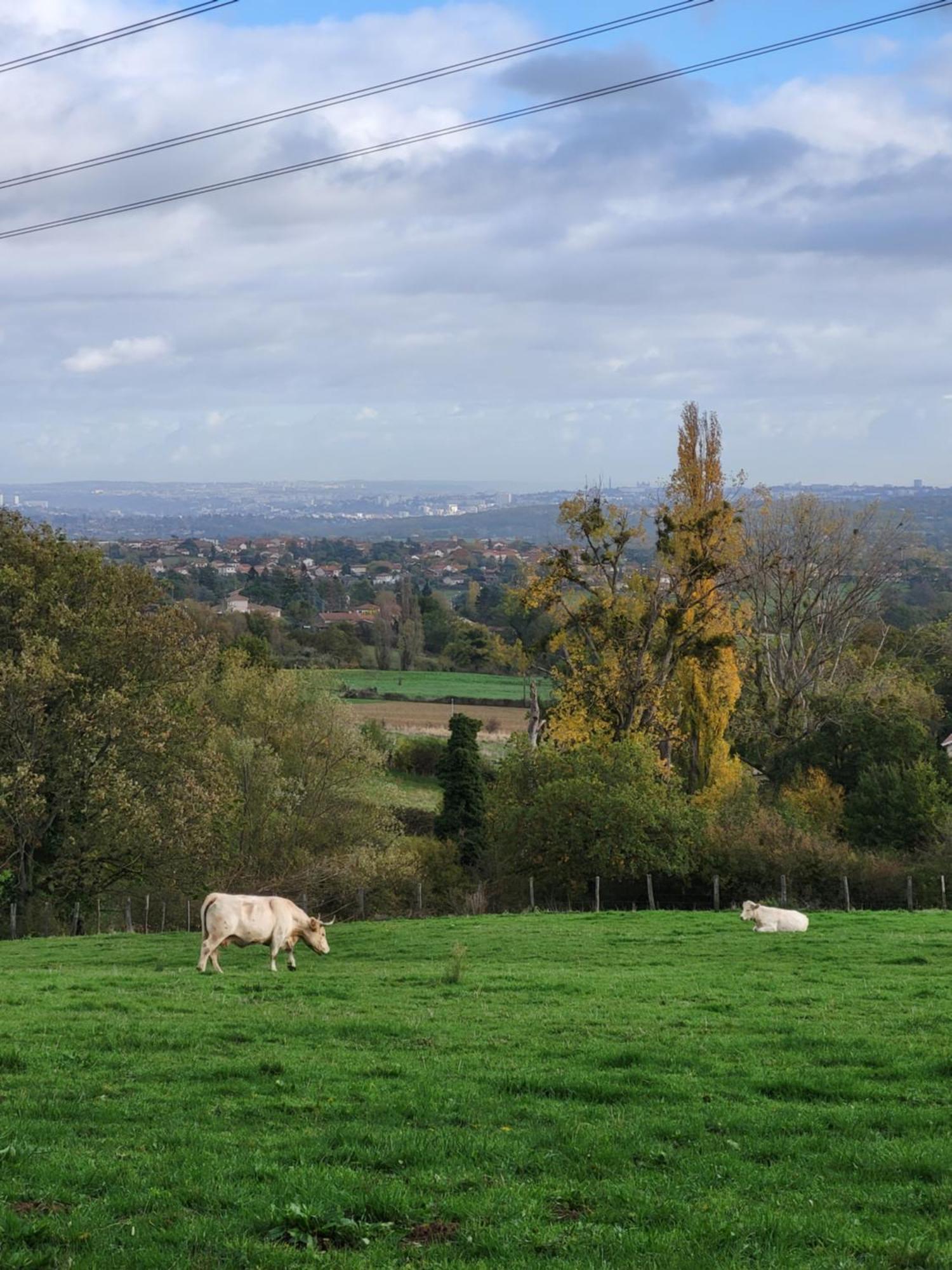Appart'Hotel Le Clos Lassagne A Brignais - Lyon Sud المظهر الخارجي الصورة